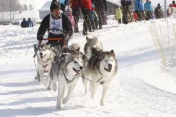 Lenk 2012 SM